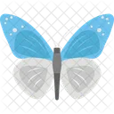 Butterfly Fly Bee Icon
