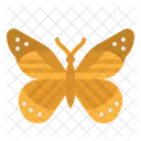 Butterfly Insect Moths Icon