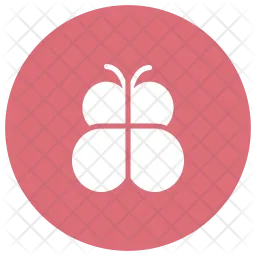 Butterfly  Icon