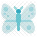 Biology Butterfly Animal Icon