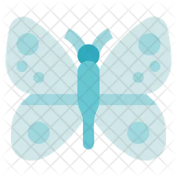 Butterfly  Icon