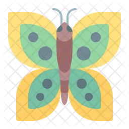 Butterfly  Icon