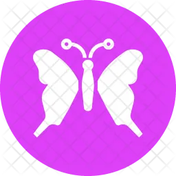 Butterfly  Icon