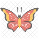 Butterfly Colorful Beautiful Icon