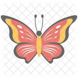 Butterfly  Icon