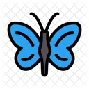 Butterfly Insect Easter Icon