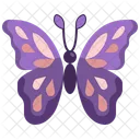 Butterfly Insect Nature Icon