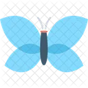 Butterfly Insect Lepidoptera Icon