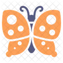 Butterfly Insect Moth Icon