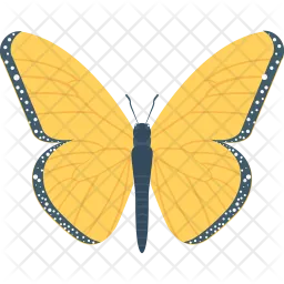 Butterfly  Icon