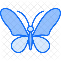 Butterfly  Icon