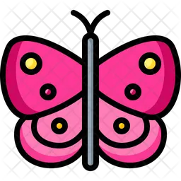 Butterfly  Icon