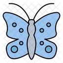 Butterfly Insect Moths Icon