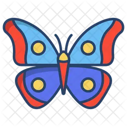 Butterfly  Icon