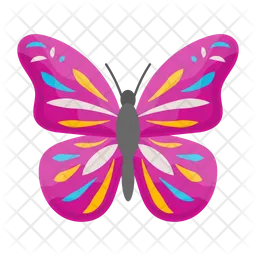 Butterfly  Icon