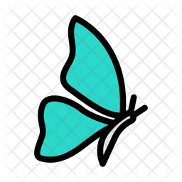 Butterfly  Icon
