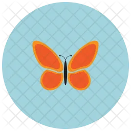 Butterfly  Icon