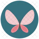 Butterfly Insect Icon