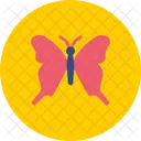 Butterfly Easter Insect Icon