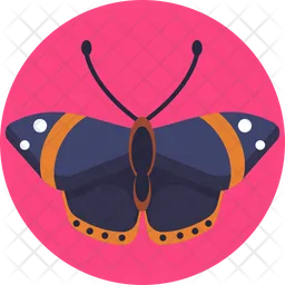 Butterfly  Icon