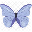 Butterfly Insect Mosquito Icon