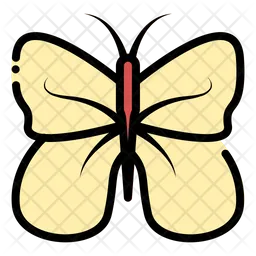 Butterfly  Icon