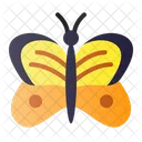 Butterfly Insect Animal Icon