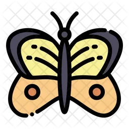 Butterfly  Icon