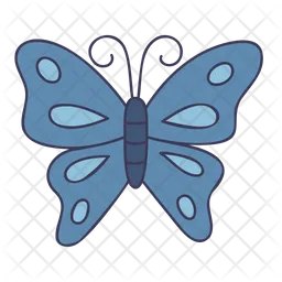 Butterfly  Icon