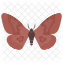 Butterfly Insect Springtime Animal Icon