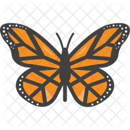 Butterfly  Icon