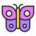 Spring Butterfly Beautiful Icon