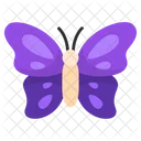 Butterfly Insect Flying Animal Icon