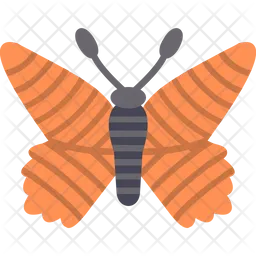 Butterfly  Icon