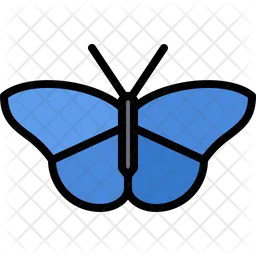 Butterfly  Icon