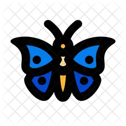 Butterfly  Icon