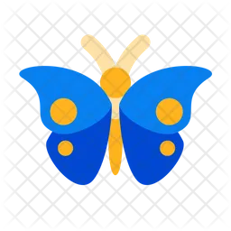 Butterfly  Icon