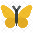 Butterfly Spring Bug Icon