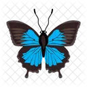 Butterfly Insect Creature Icon