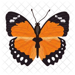 Butterfly  Icon