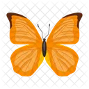 Butterfly Insect Creature Icon