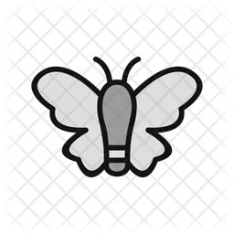 Butterfly  Icon