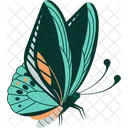 나비 나비 날개 무리 아이콘
