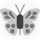 Butterfly Insect Blue Icon