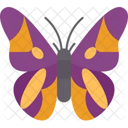 Butterfly  Icon