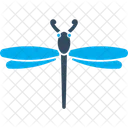Butterfly Insect Blue Icon