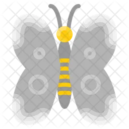 Butterfly  Icon