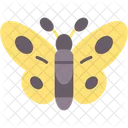 Butterfly Insect Papillon Icon
