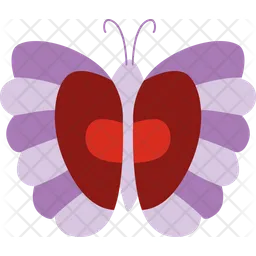 Butterfly  Icon