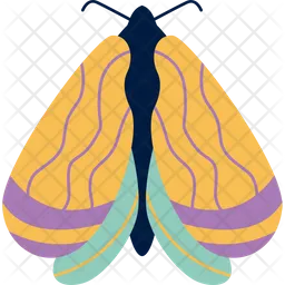 Butterfly  Icon